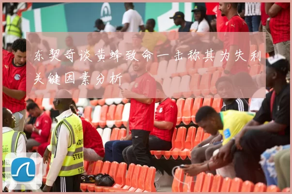 东契奇谈黄蜂致命一击称其为失利关键因素分析